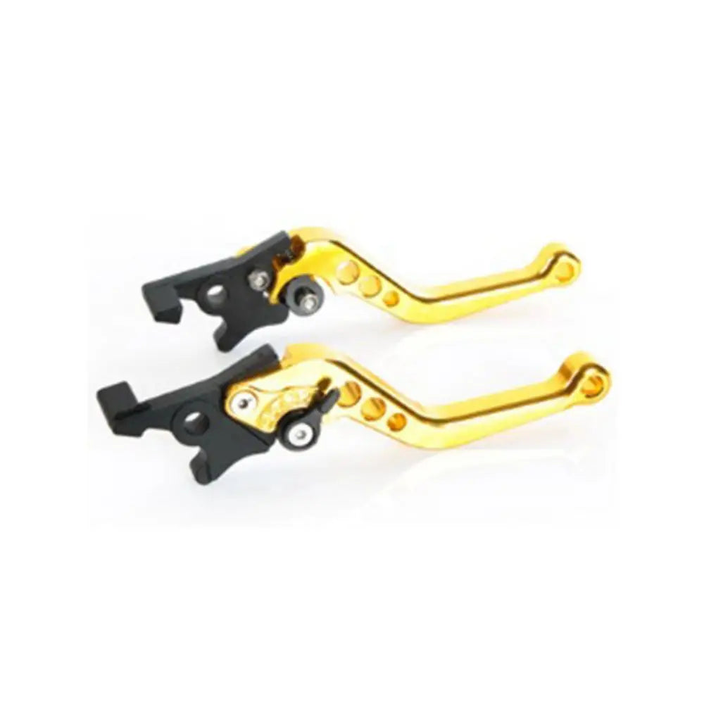 Motorcycle Double Disc Brake