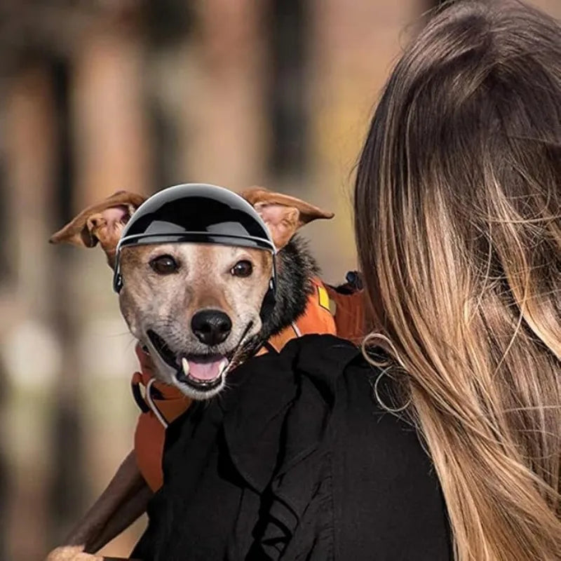 Pet Helmet Glasses Set