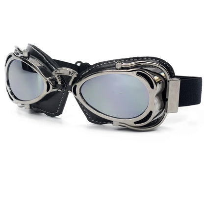 Goggles Glasses Pilot 