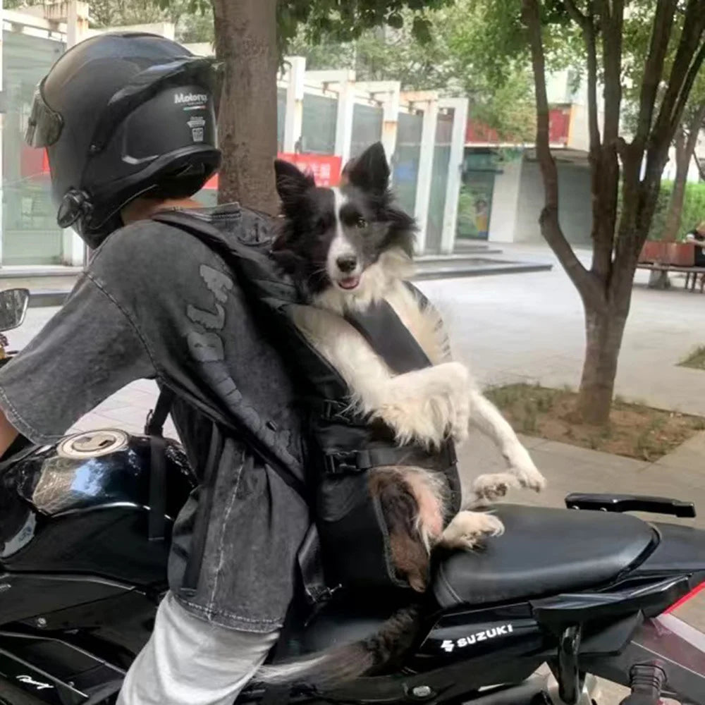 Borsa da cintura per trasporto animali domestici per moto 