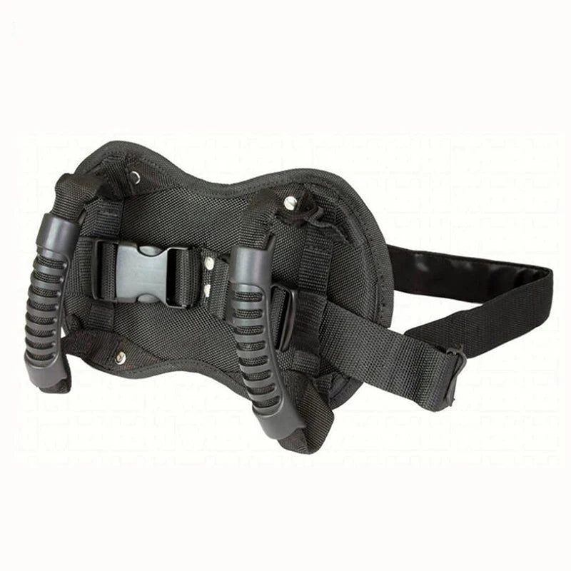 Correa de seguridad de la motocicleta para el asiento trasero