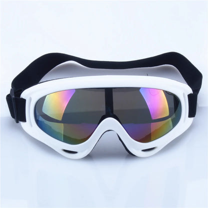 Polarized Motorcycle Goggles 