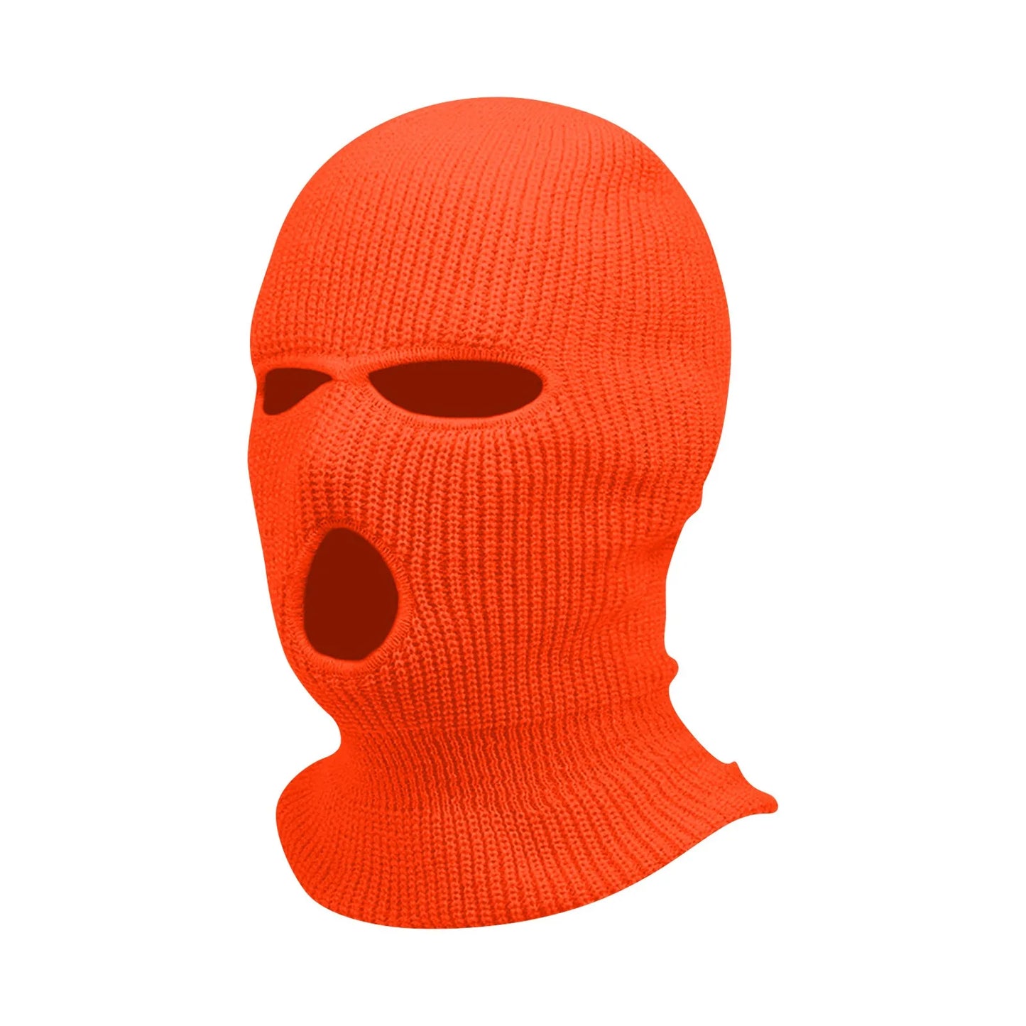Winter Face Mask for Motorcyclist 