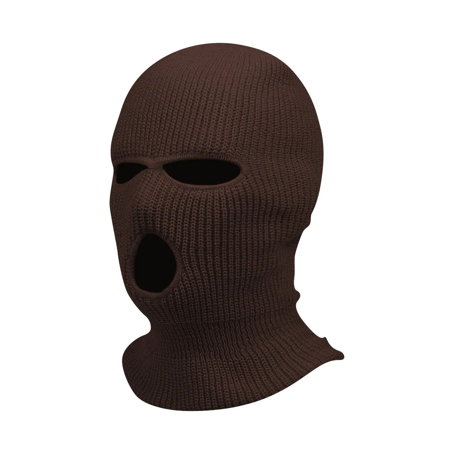 Winter Face Mask for Motorcyclist 