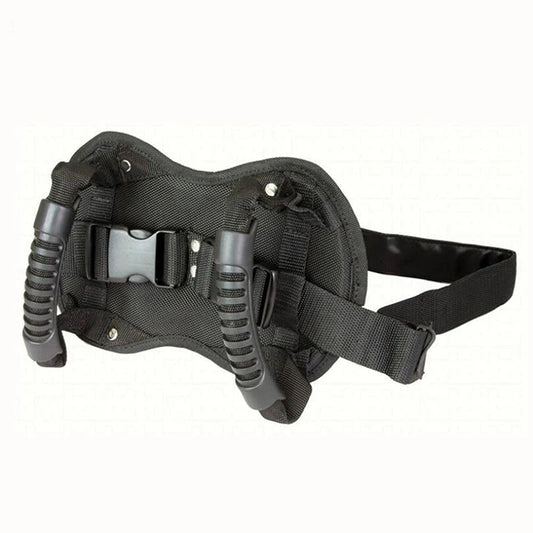 Correa de seguridad de la motocicleta para el asiento trasero