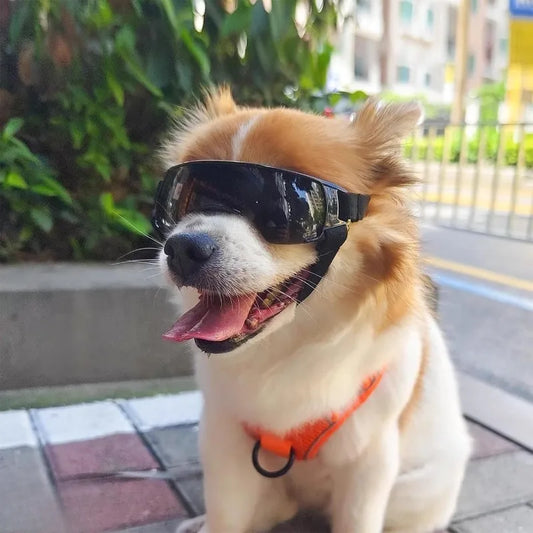 Pet Helmet Glasses Set 
